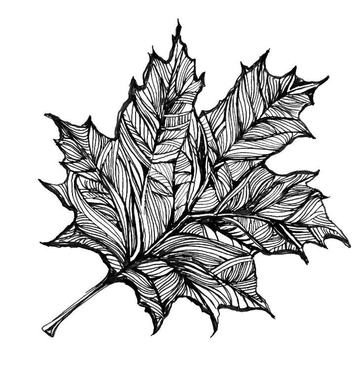 Leaf Drawing Unique Art