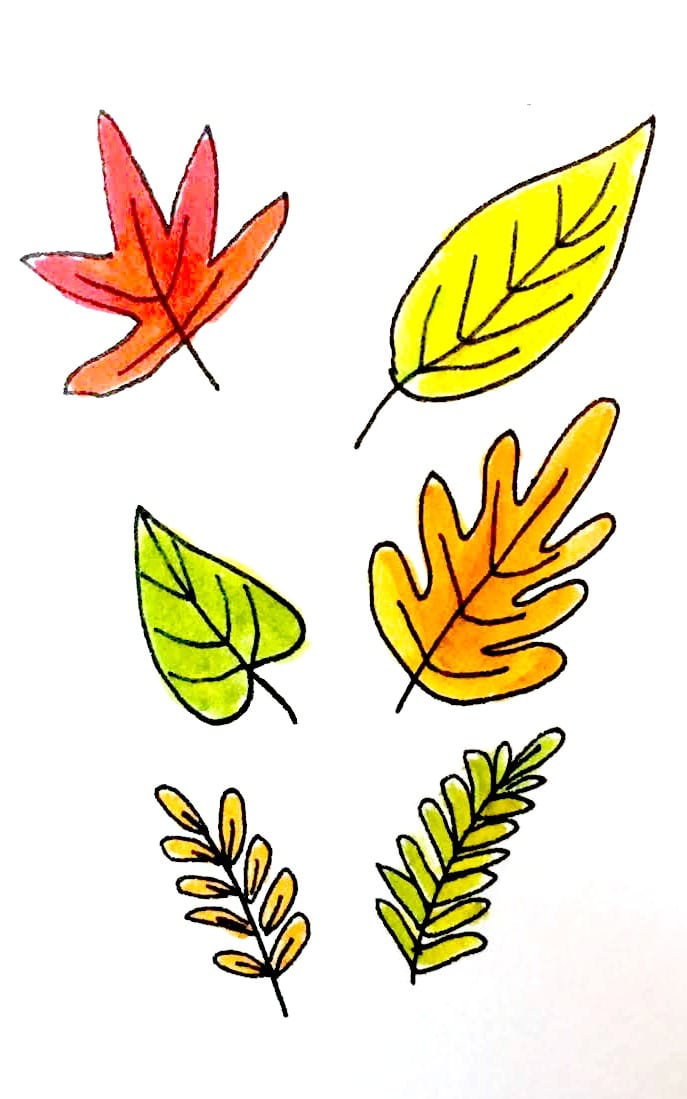 Leaves Drawing Detailed Sketch