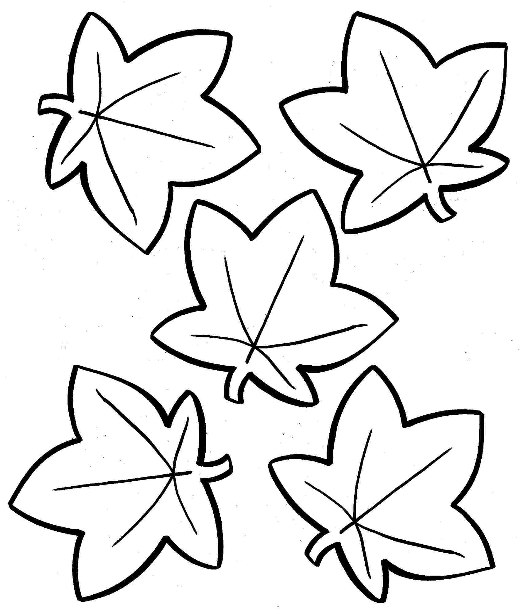 Leaves Drawing Modern Sketch