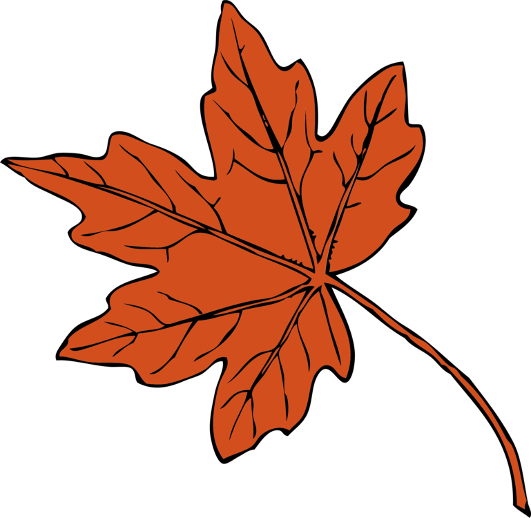 Leaves Drawing Picture