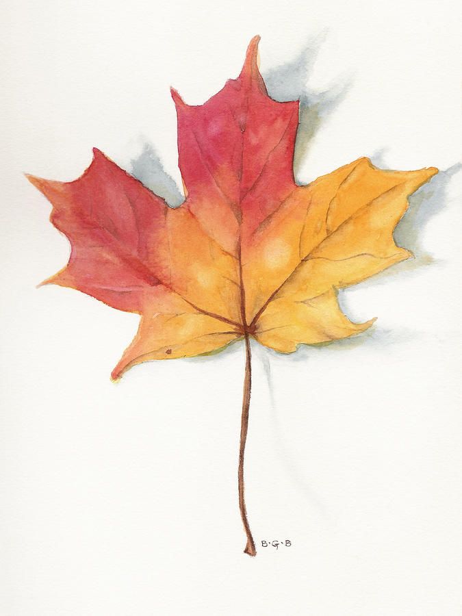 Leaves Drawing Realistic Sketch