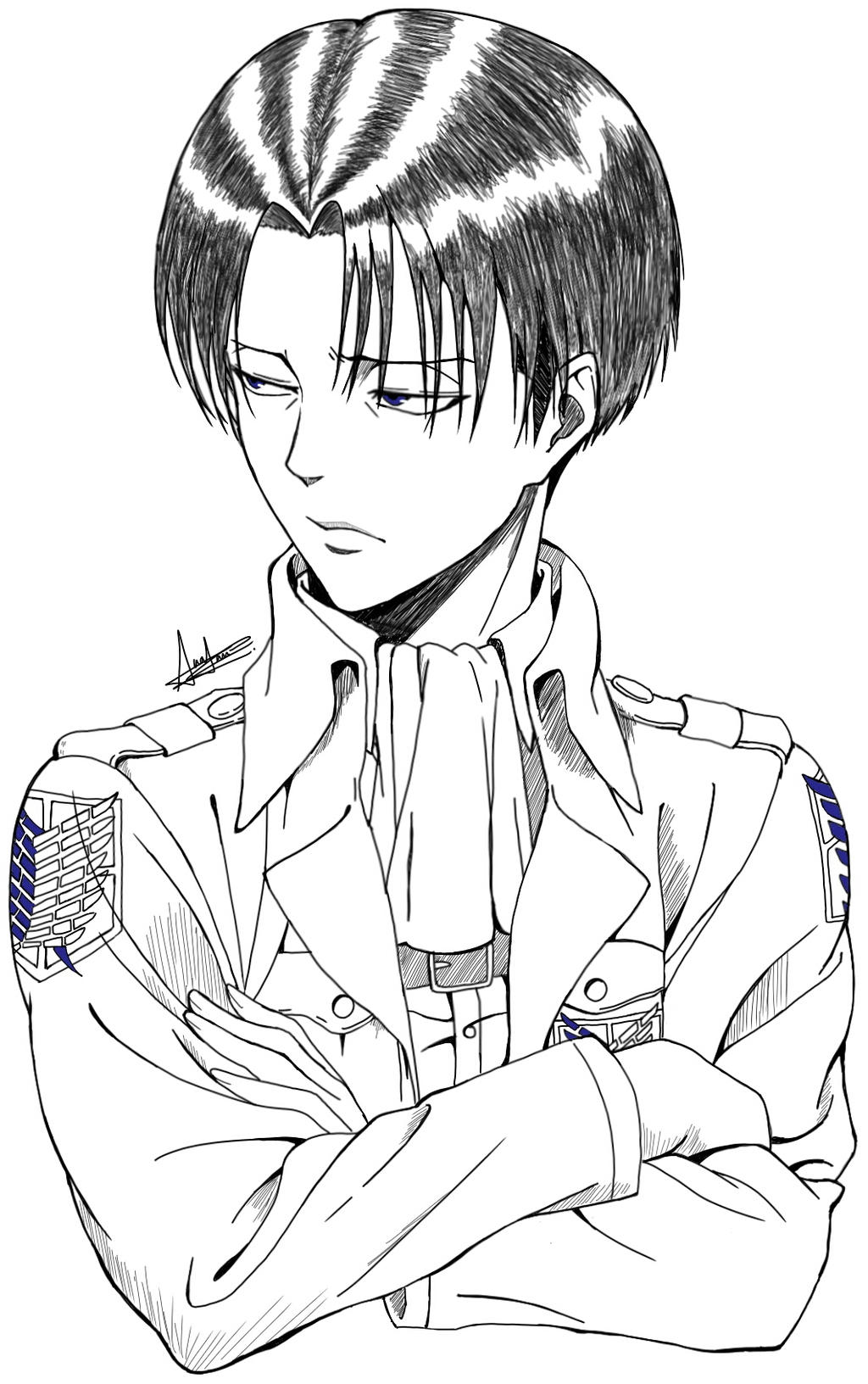 Levi Drawing Realistic Sketch