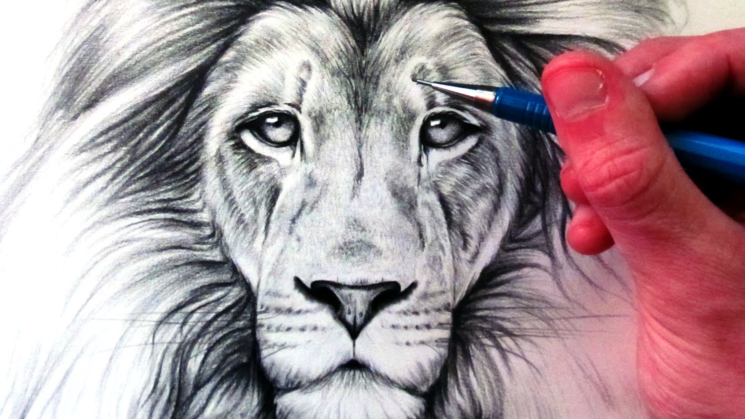 Lion Drawing Amazing Sketch