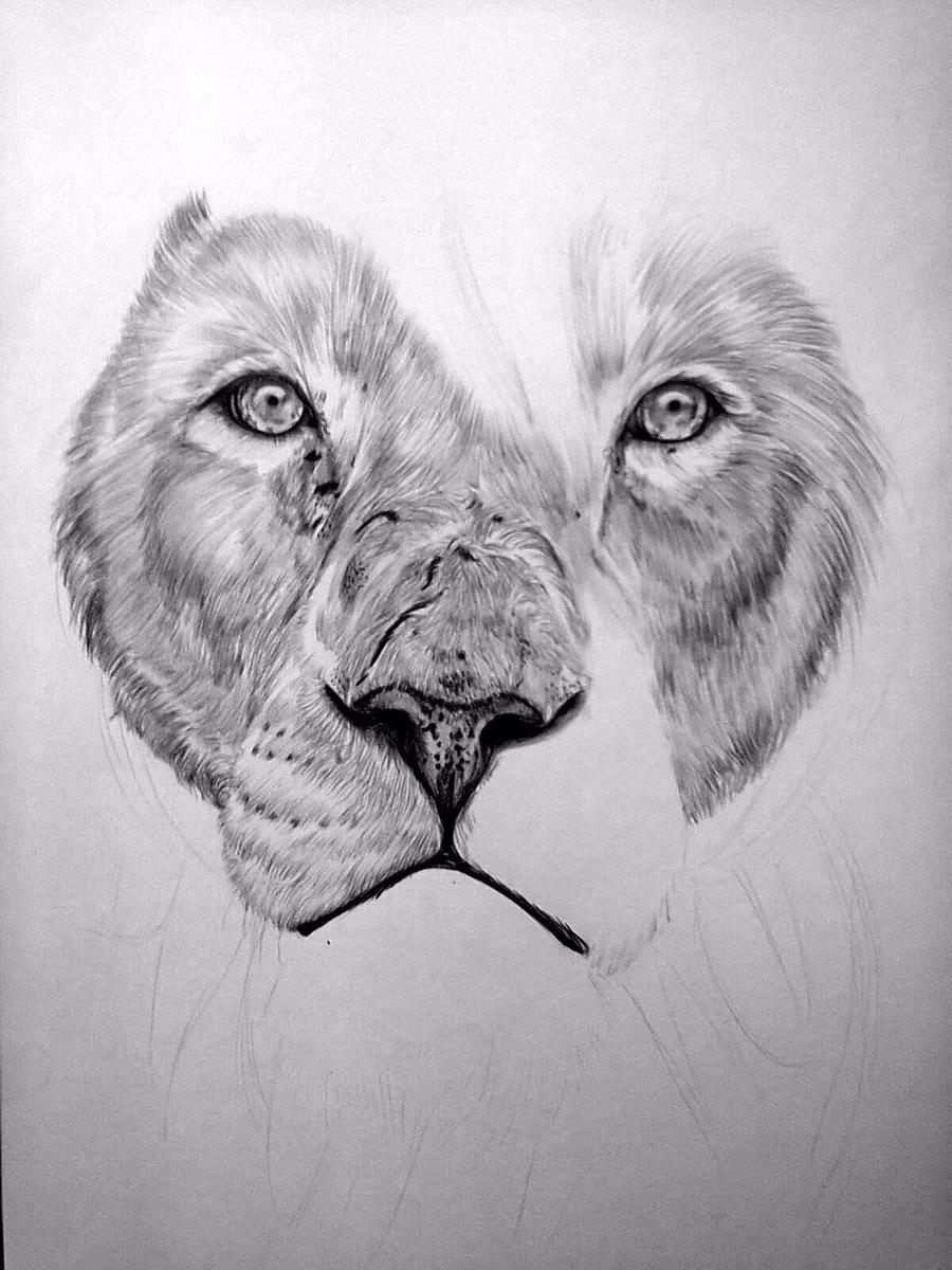 Lion Drawing Art