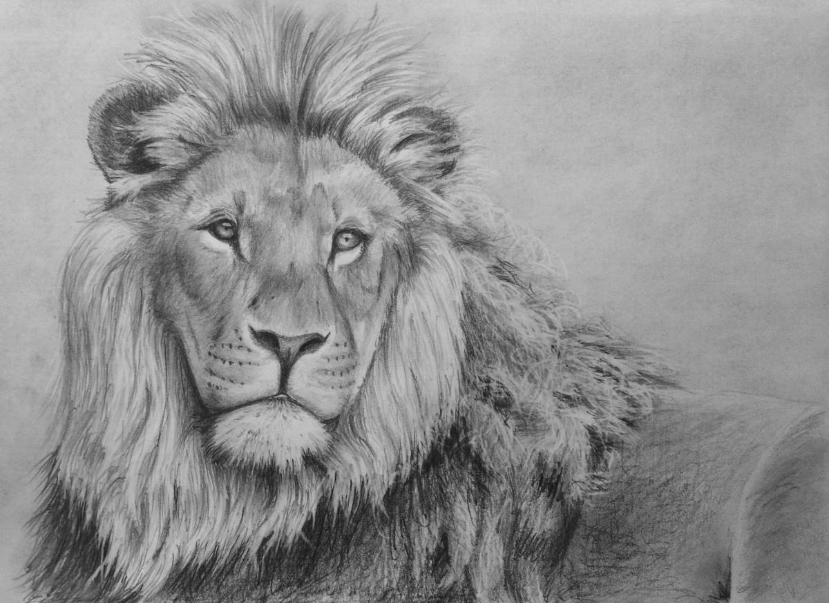 Lion Drawing Intricate Artwork