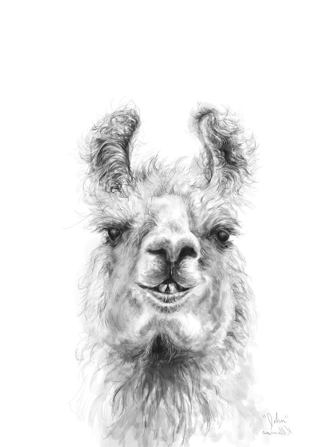 Llama Drawing Art