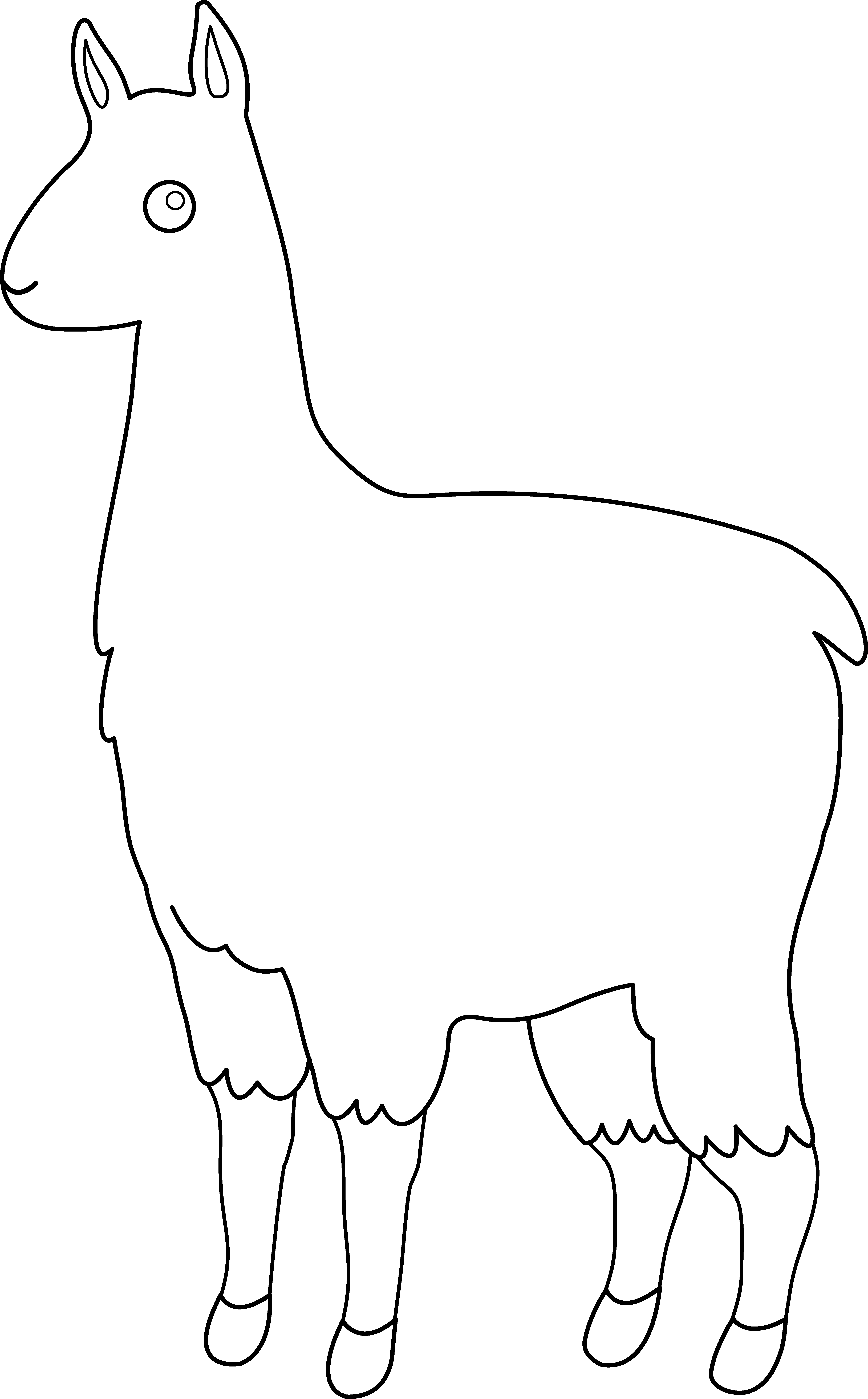 Llama Drawing Fine Art