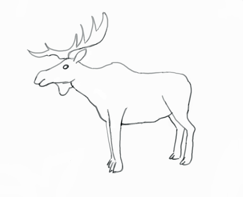 Moose Drawing Fine Art