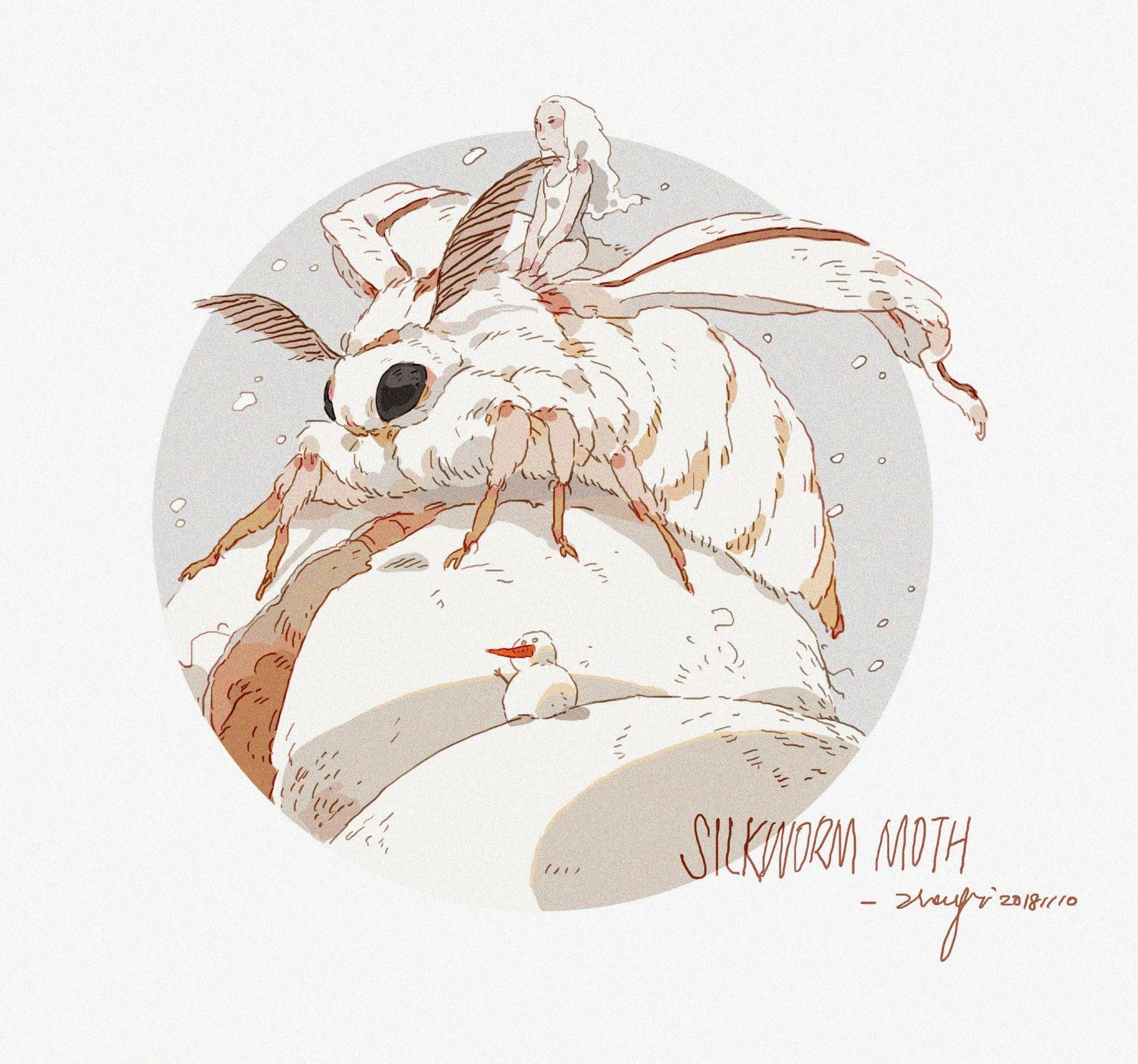 Moth Drawing Art