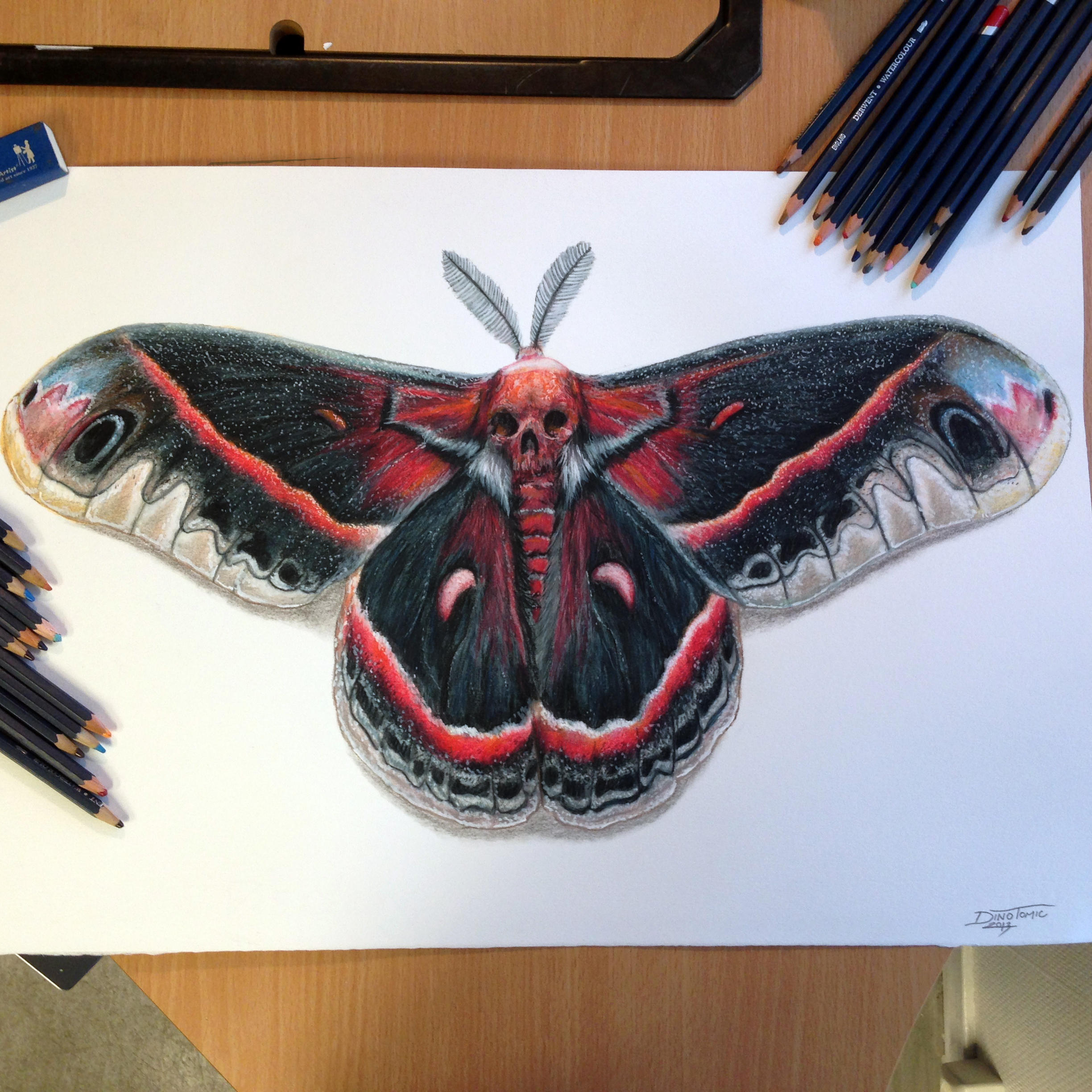 Moth Drawing Hand Drawn Sketch