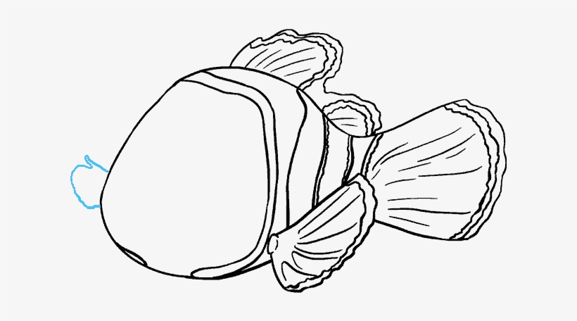 Nemo Drawing Creative Style