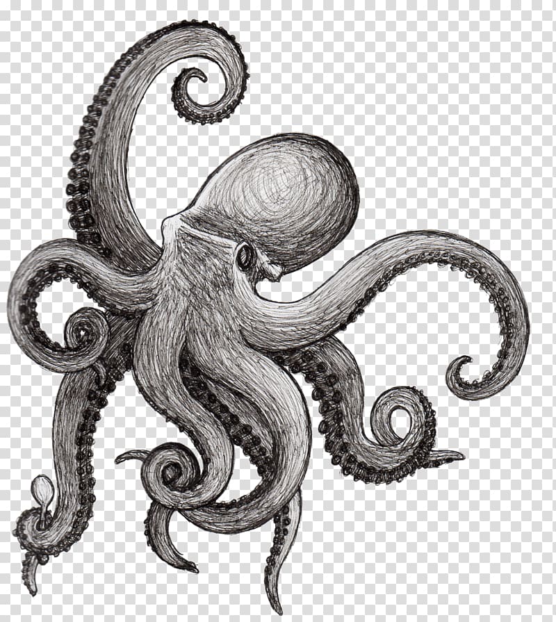Octopus Tentacles Drawing Art