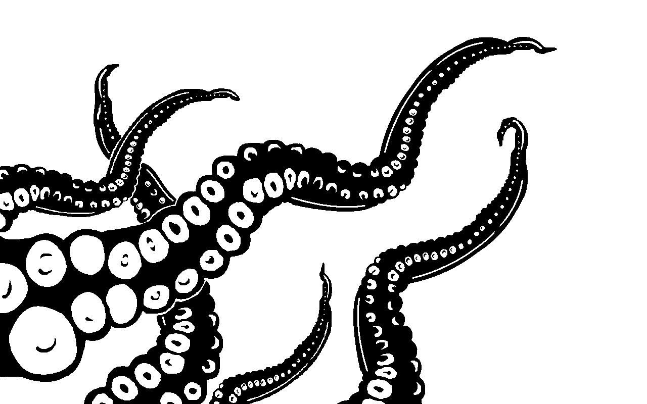 Octopus Tentacles Drawing Fine Art