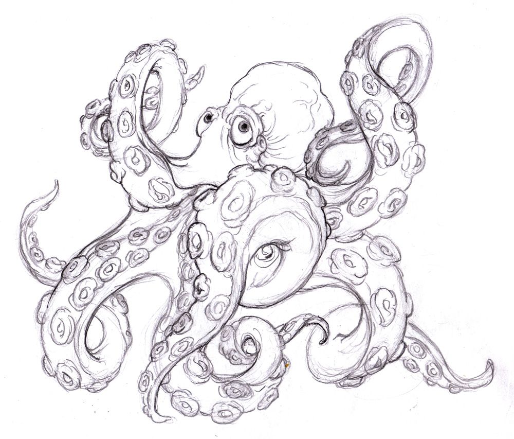 Octopus Tentacles Drawing Hand Drawn Sketch