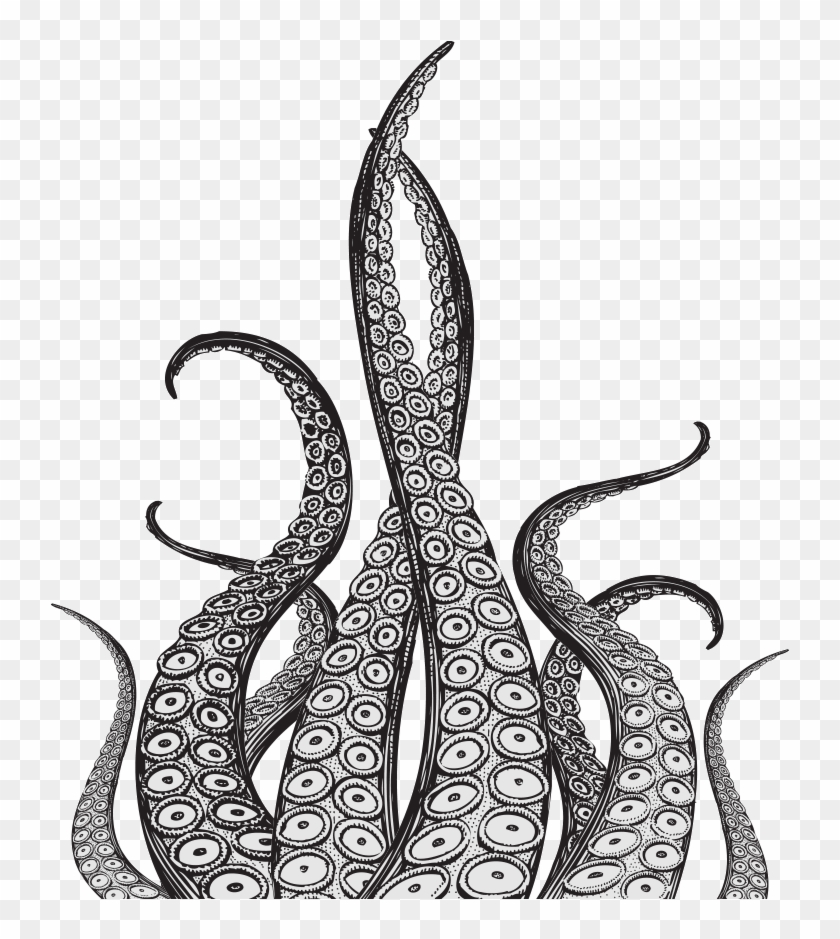 Octopus Tentacles Drawing Image