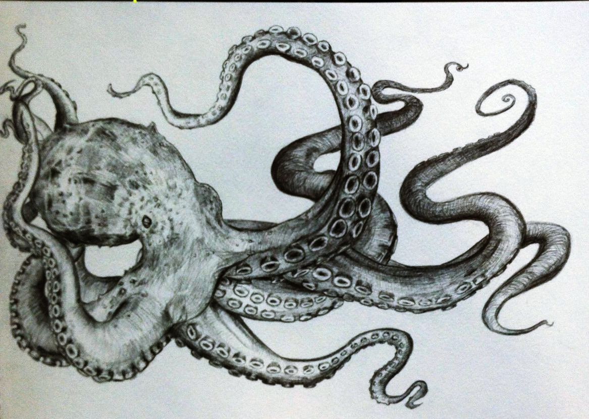 Octopus Tentacles Drawing Intricate Artwork
