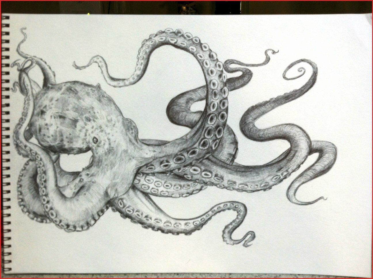 Octopus Tentacles Drawing Modern Sketch