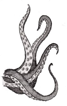 Octopus Tentacles Drawing Unique Art