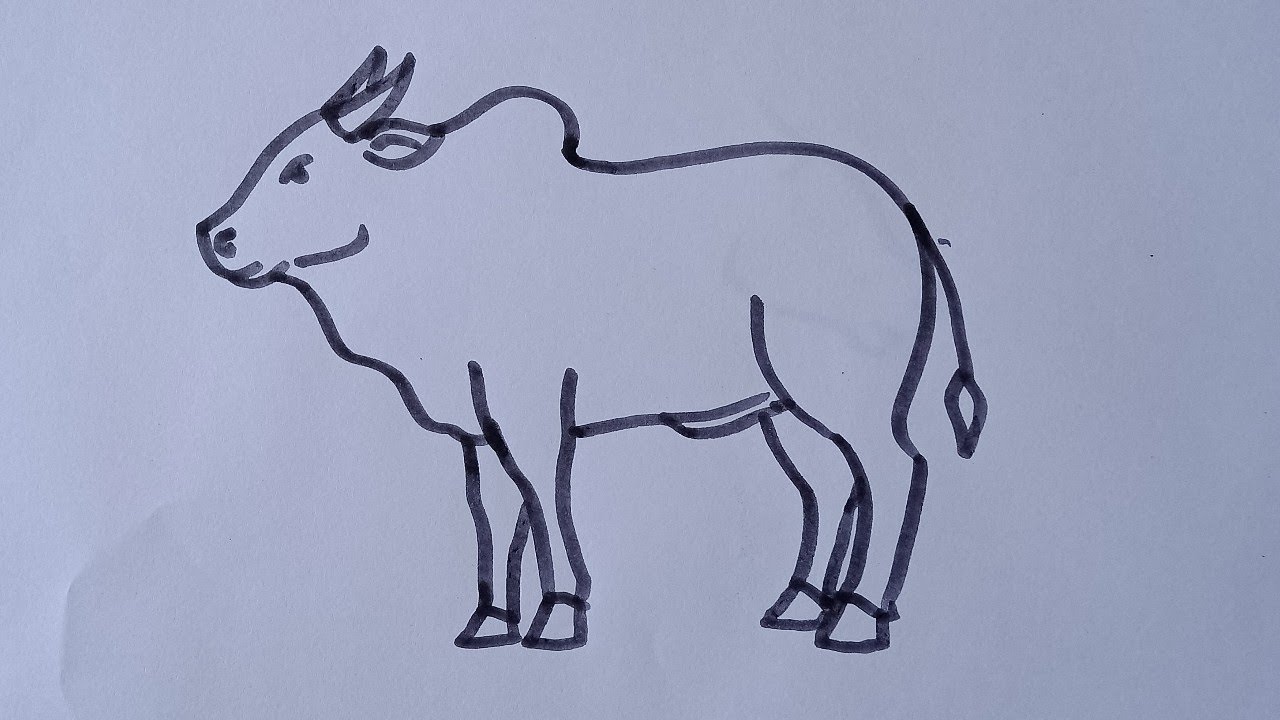Ox Drawing Picture