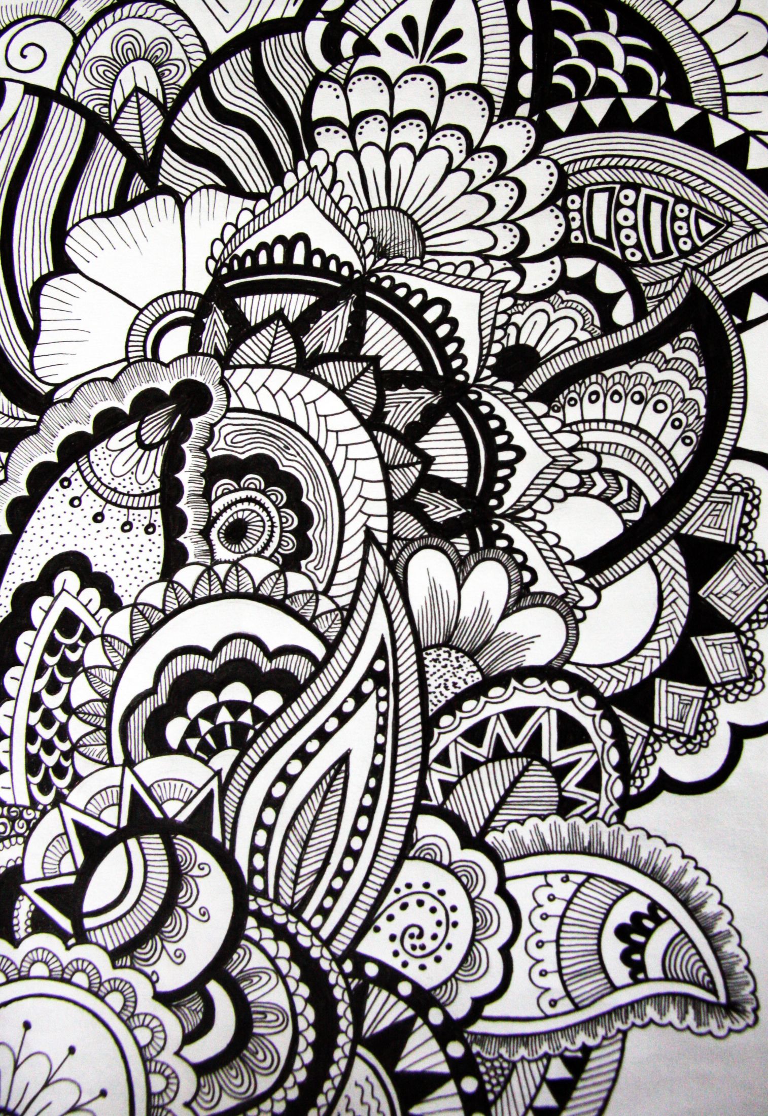 Pattern Drawing Realistic Sketch