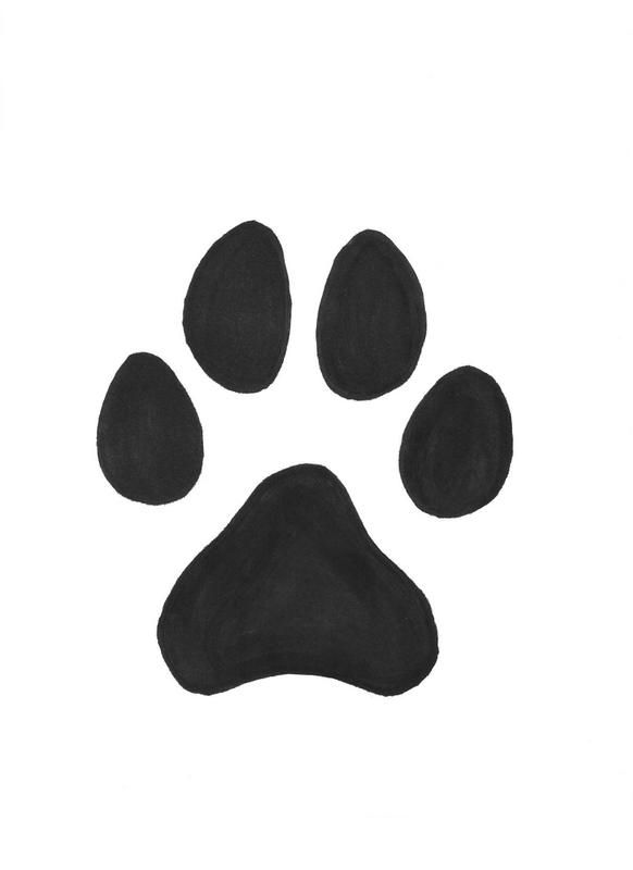 Paw Drawing Realistic Sketch