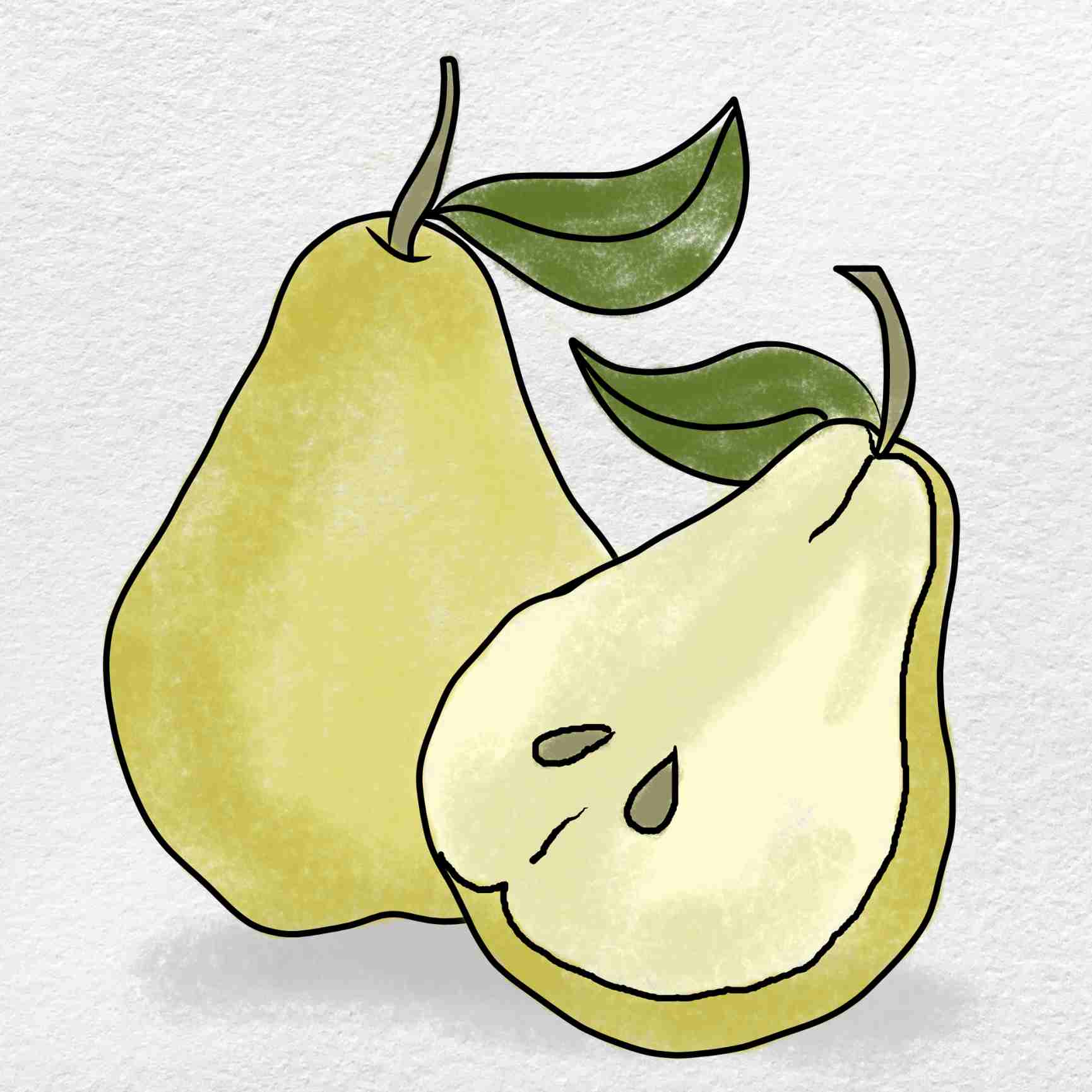 Pear Drawing Amazing Sketch