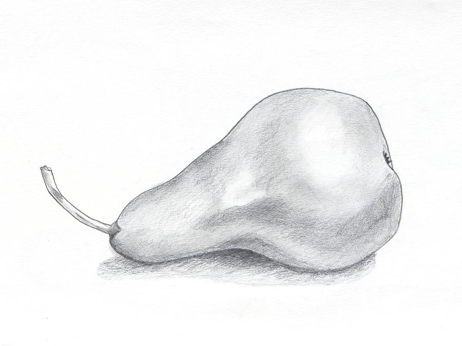 Pear Drawing Creative Style