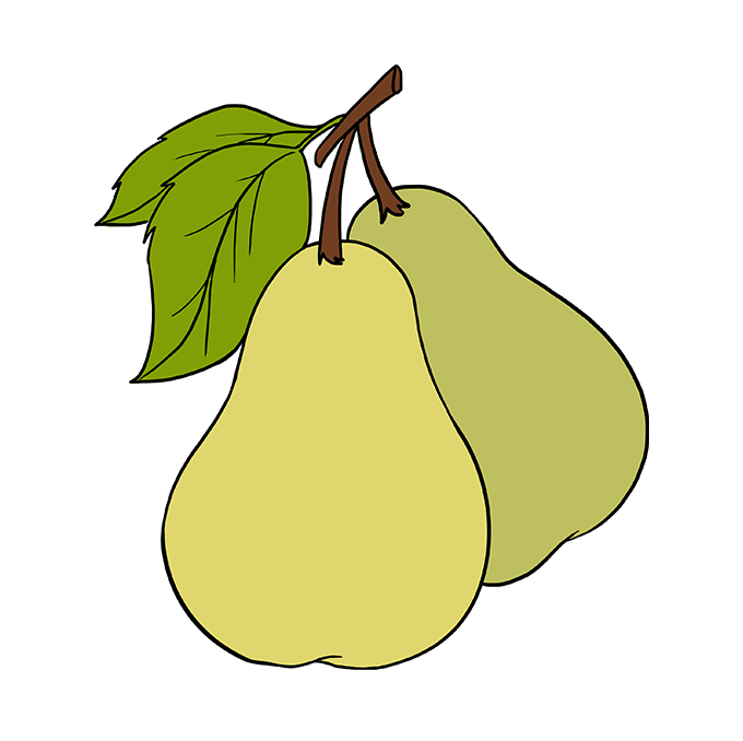 Pear Drawing Sketch