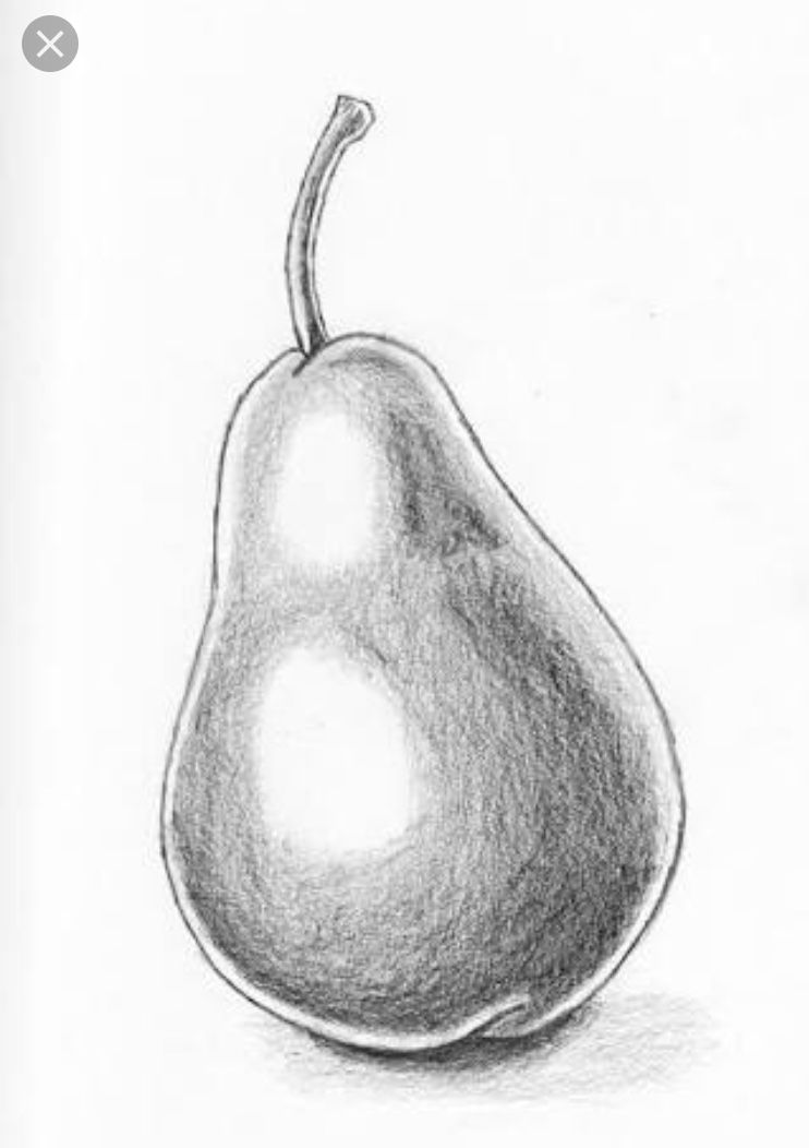 Pear Drawing Unique Art