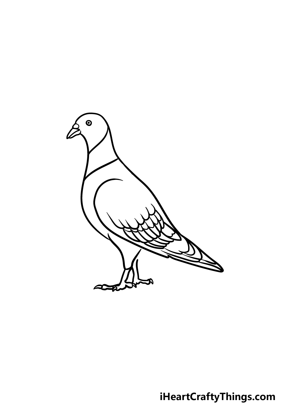 Pigeon Drawing Amazing Sketch