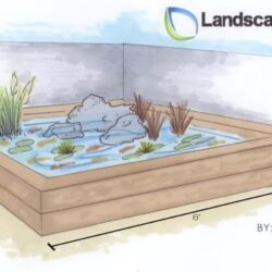 Pond Drawing Creative Style