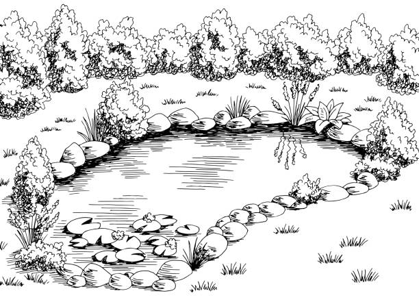 Pond Drawing Fine Art