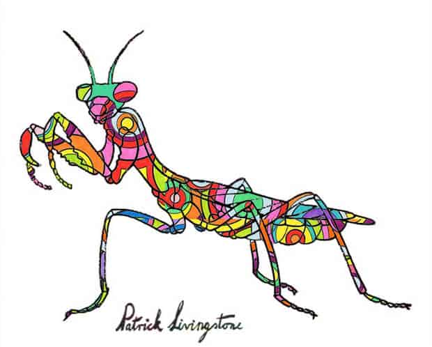 Praying Mantis Drawing Stunning Sketch