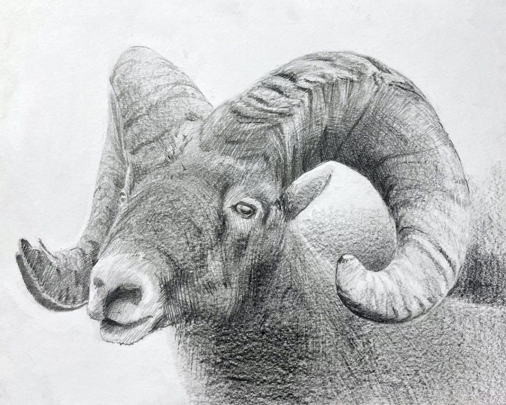 Ram Drawing Amazing Sketch