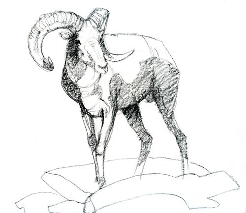 Ram Drawing Hand drawn Sketch