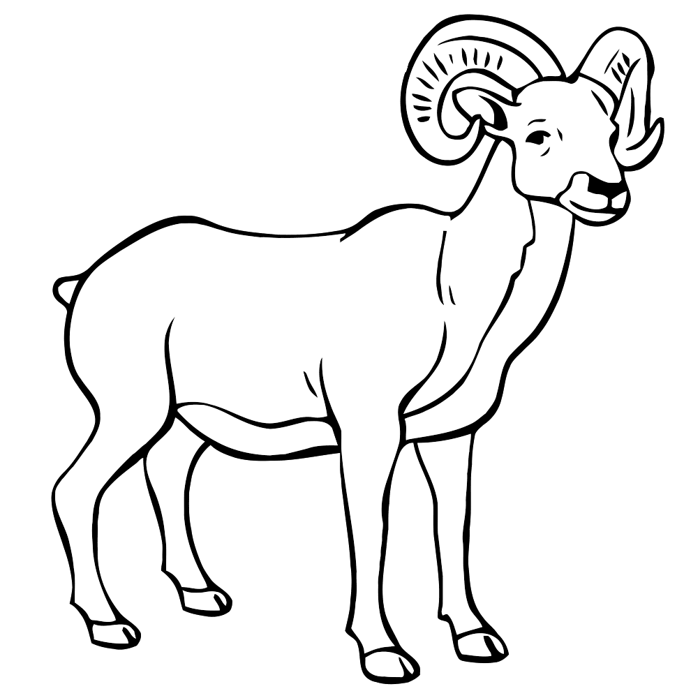Ram Drawing Sketch