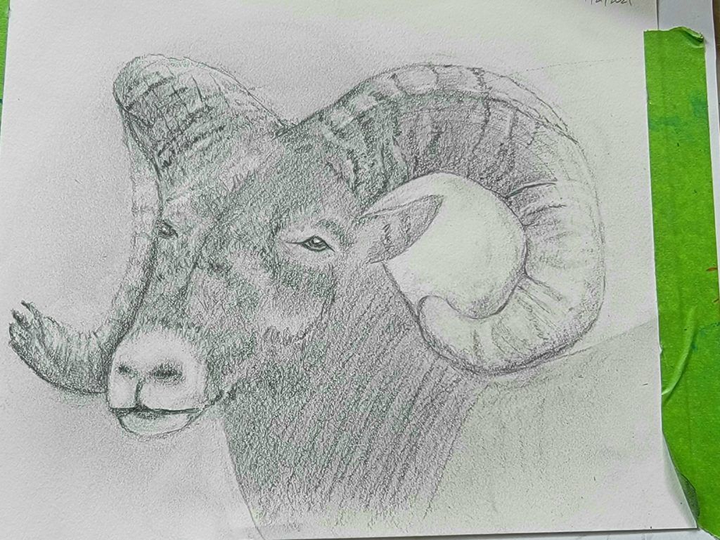 Ram Drawing Stunning Sketch