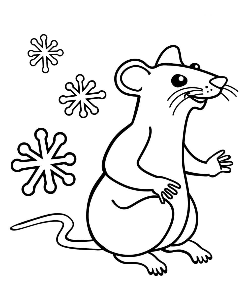 Rat Drawing Hand drawn