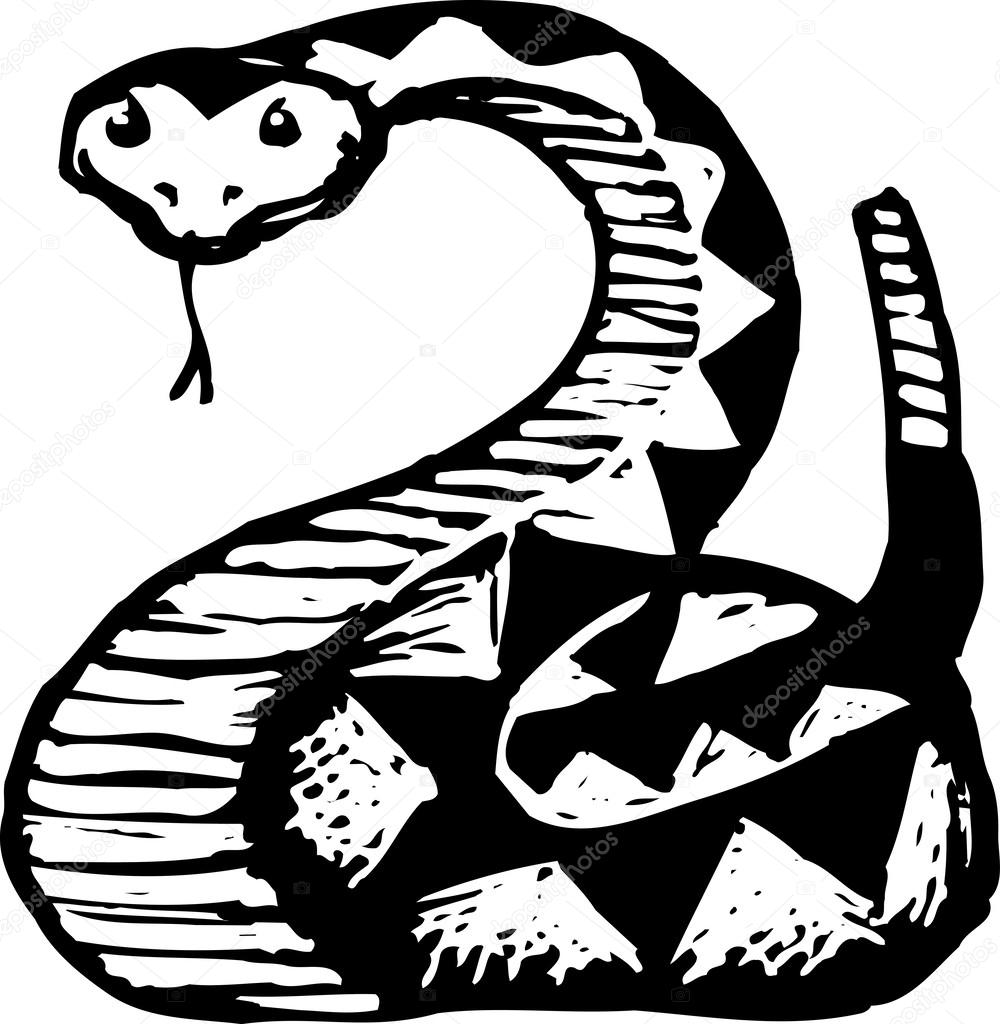 Rattlesnake Drawing Art