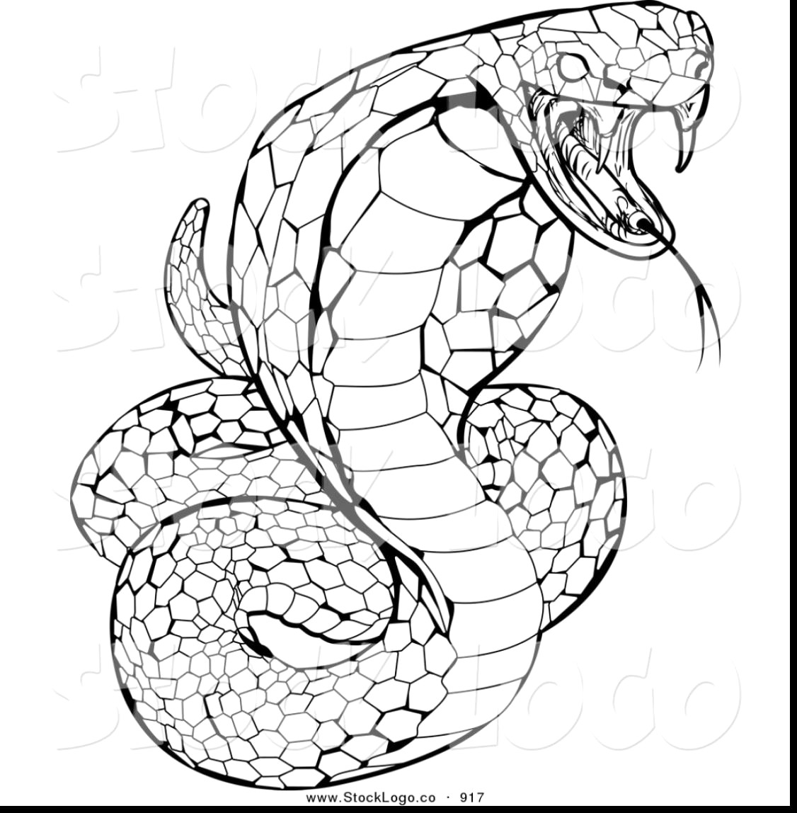 Rattlesnake Drawing Creative Style