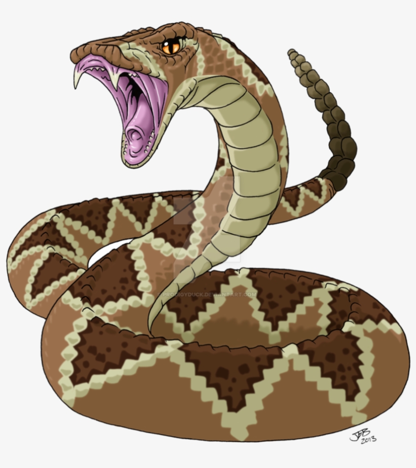 Rattlesnake Drawing Picture