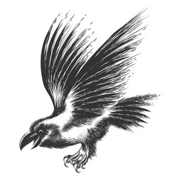 Raven Drawing Amazing Sketch