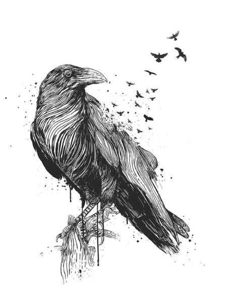 Raven Drawing Art