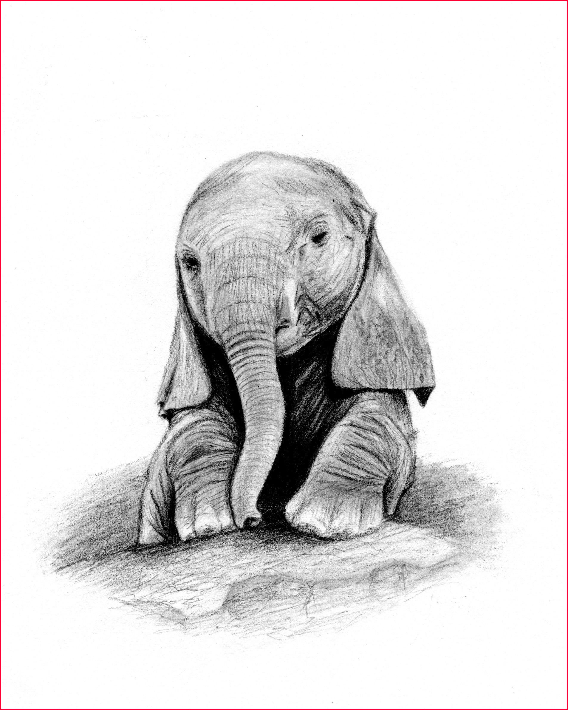 Realistic Elephant Drawing Creative Style