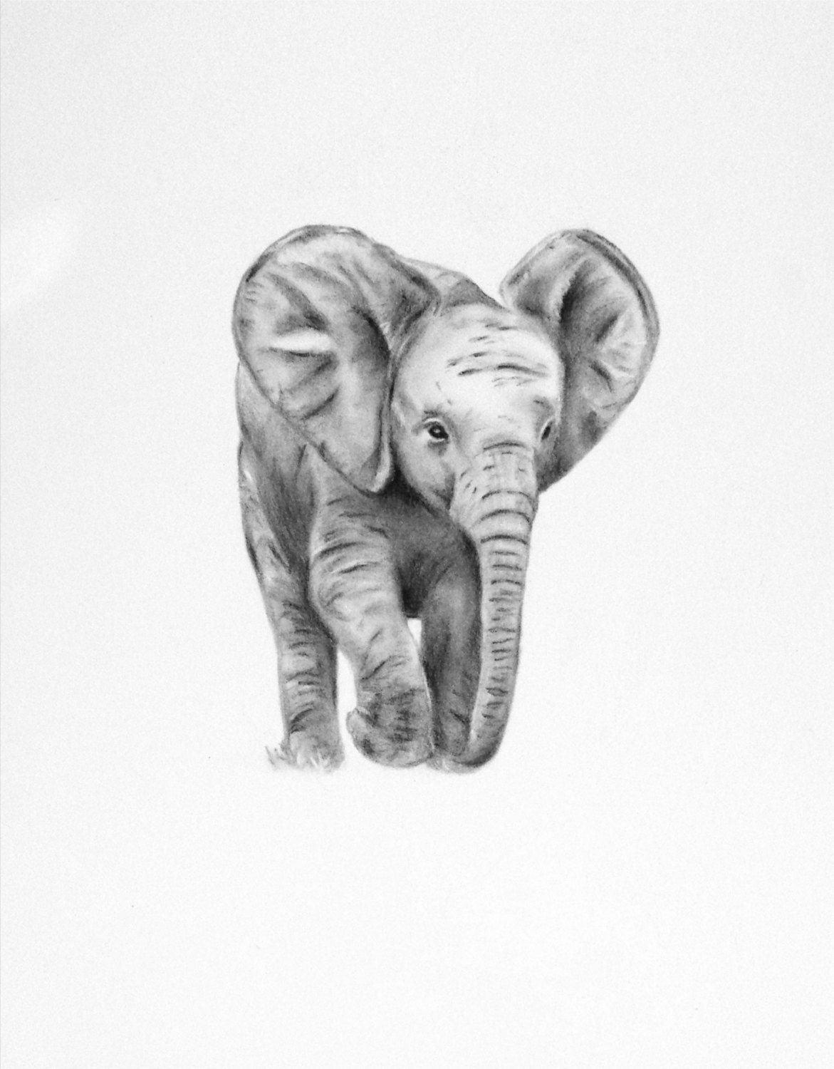 Realistic Elephant Drawing Detailed Sketch