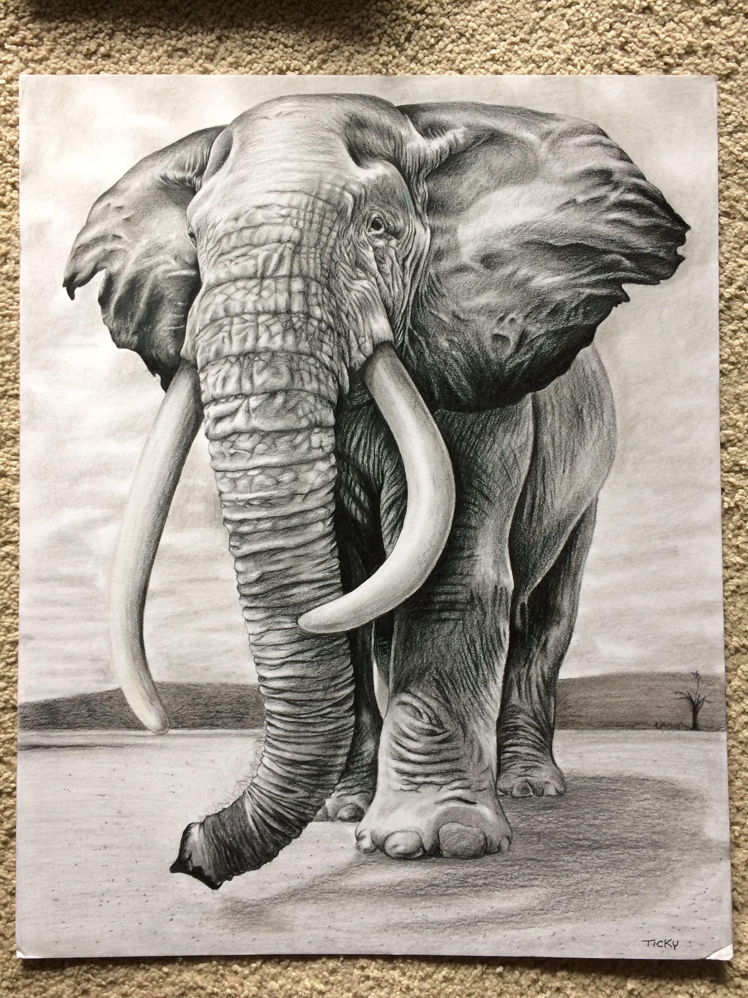 Realistic Elephant Drawing Hand Drawn