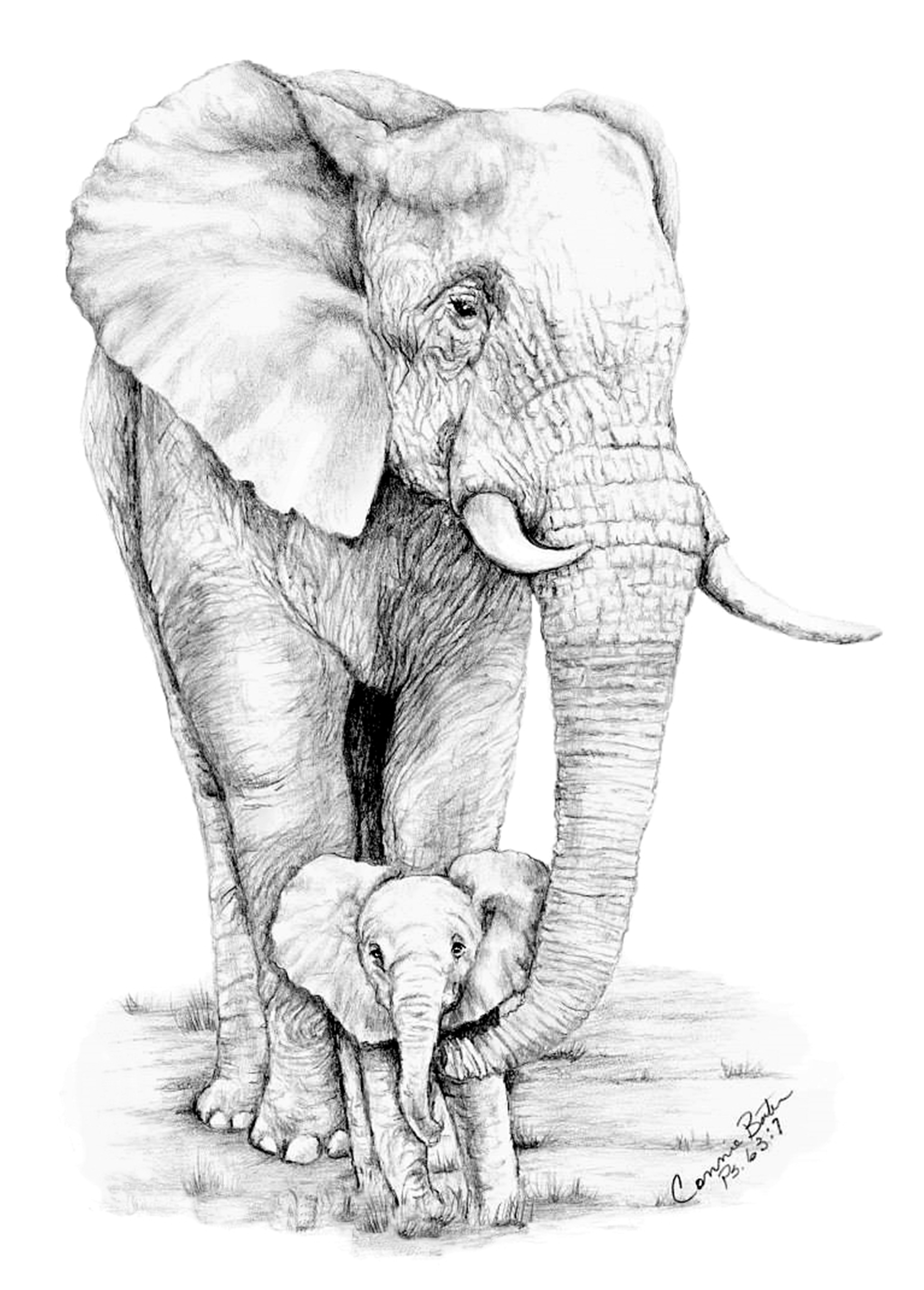 Realistic Elephant Drawing Image