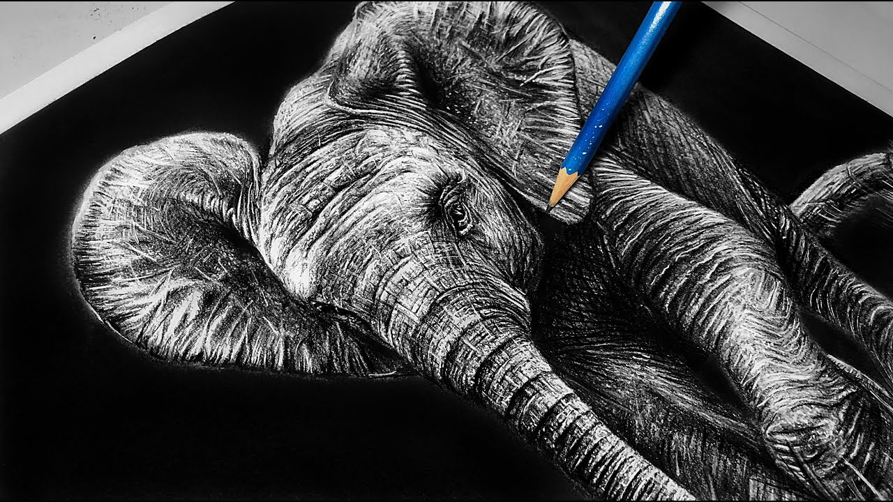 Realistic Elephant Drawing Intricate Artwork