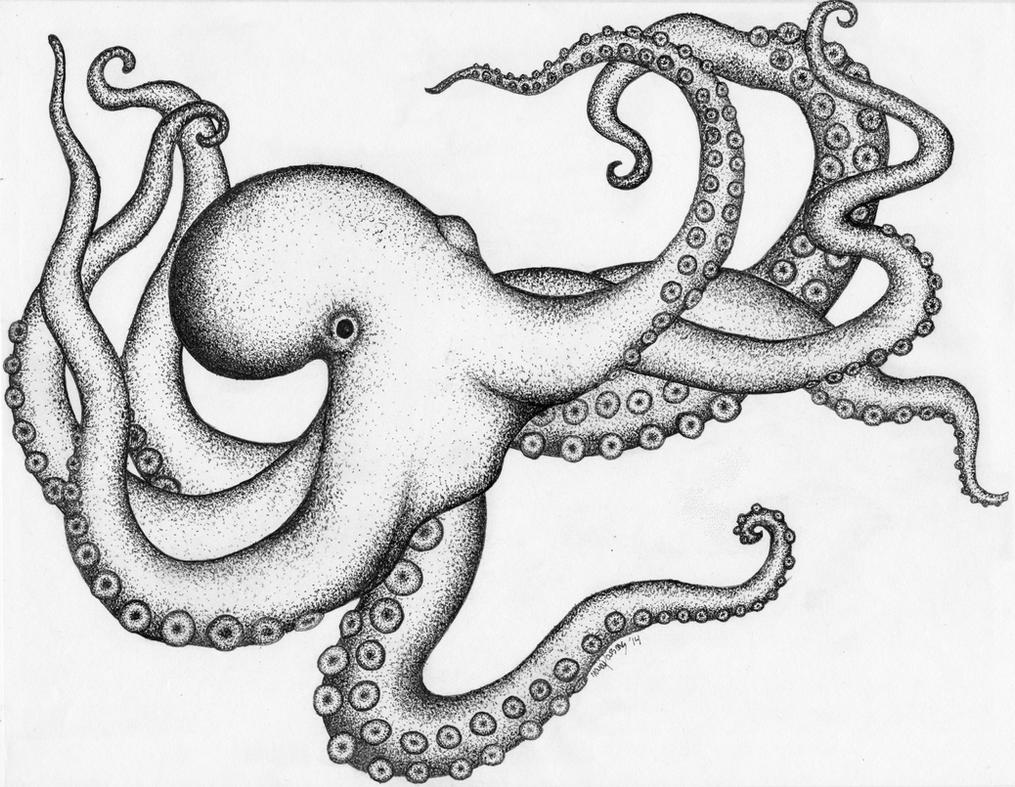 Realistic Octopus Drawing Creative Style