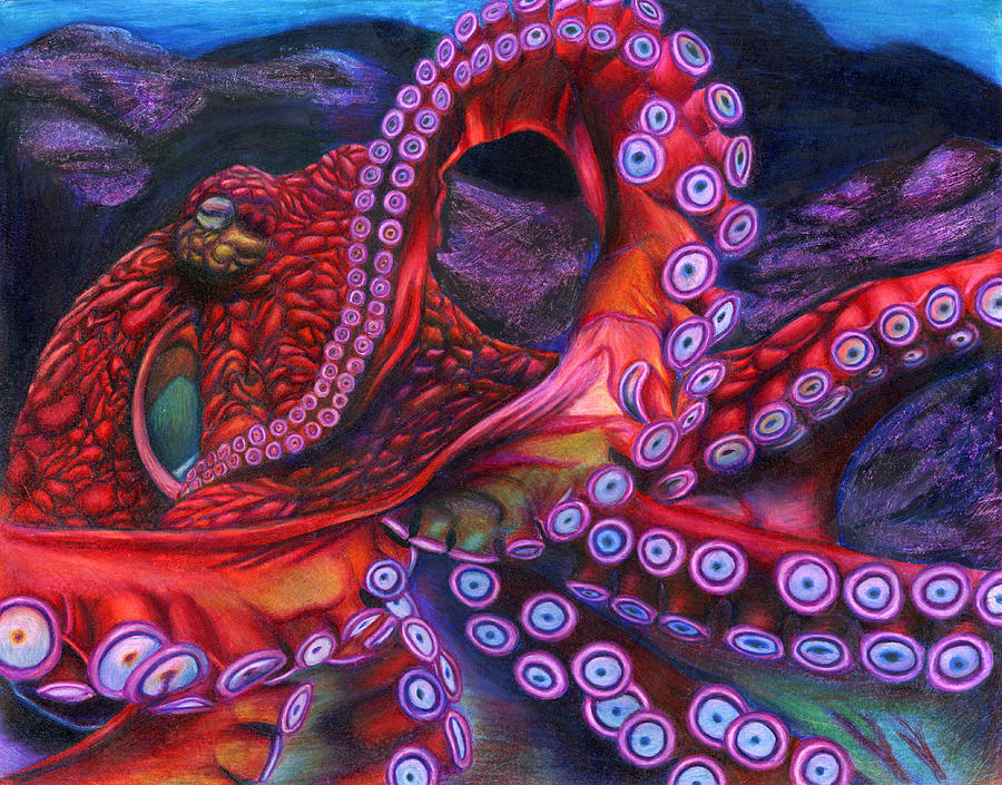 Realistic Octopus Drawing Image